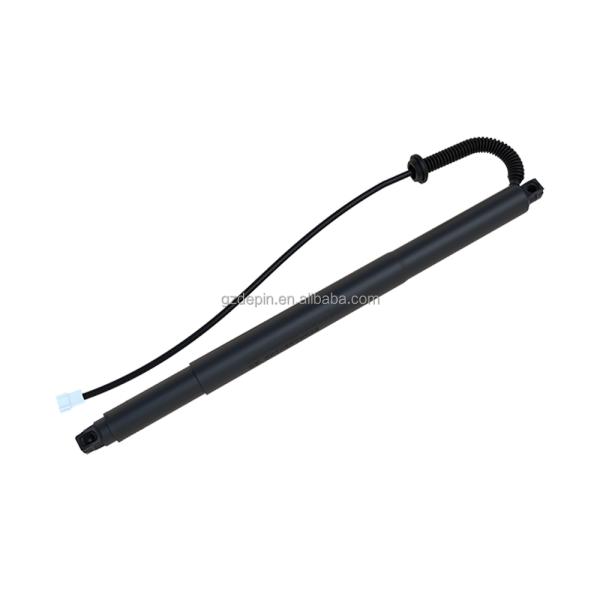 BMW X6 F16 F8 51247318652 Porte arrière électrique pour le marché à forte demande en 2008