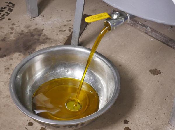 Compact Sunflower Oil Extraction Machine Large Capacity For Oil Factory