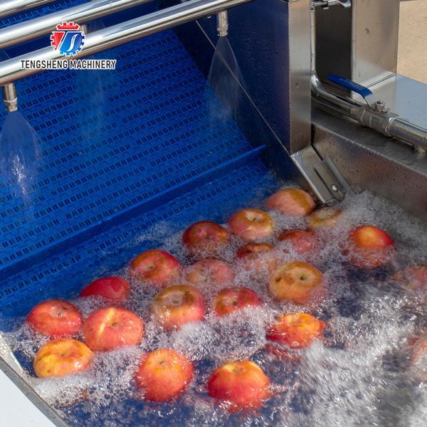 3KW 50HZ Fruit And Vegetable Processing Line Washing Sorting Machine