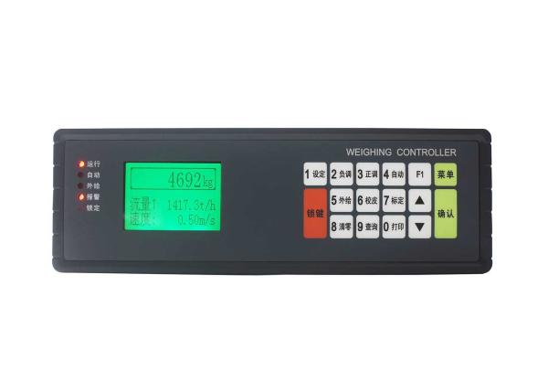 Queryable Records For Year Ration Belt Scale Controller , Belt Weigher Indicator
