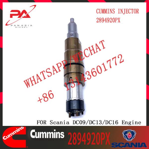 Горяч-продажа нового дизельного инжектора топлива 2894920PX коллектора системы впрыска топлива 2894920
