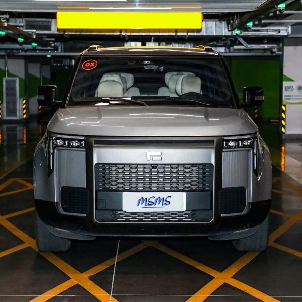 Medium Large 7 Seats 6 Seats Energy Vehicle with 3010mm Wheelbase and 2660kg Curb Weight