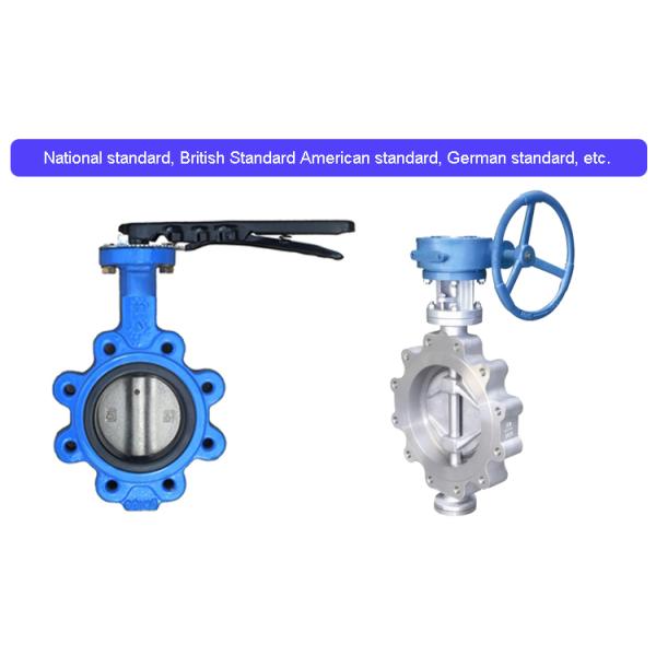 Lug Type Butterfly Valve