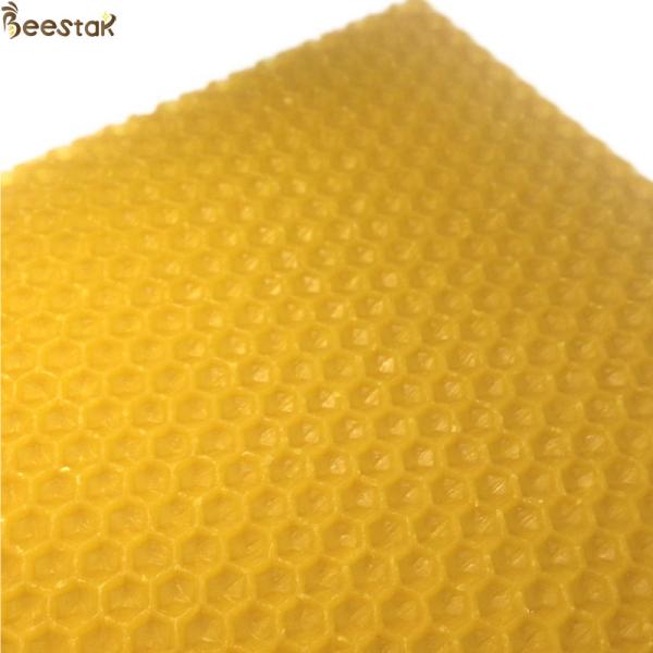 Естественное учреждение Beeswax сота покрывает c органический для делать свечу