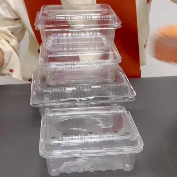 Customizable Disposable bowl with different material options suitable for various fruits and vegetables
