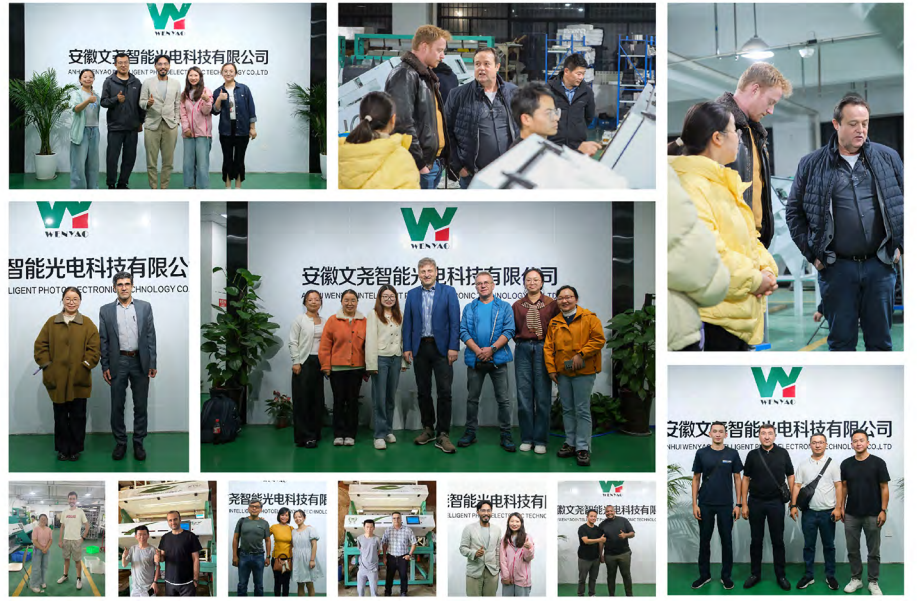 Wenyao Plastic Color Sorter Machine with 99.99% Sorting Accuracy 8 Chutes 512 Channels and Japan Toshiba CCD Sensor