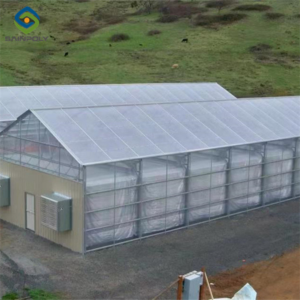 Snow Resistance Polycarbonate Film Greenhouse 100% Darkness Easy To Install
