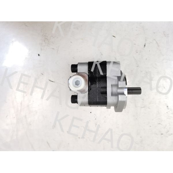 PVSD2-21 Hydraulic Gear Pump Iron and Aluminum alloy materials  Range for Construction Machinery Factory Supply Hydraulic Parts Customize