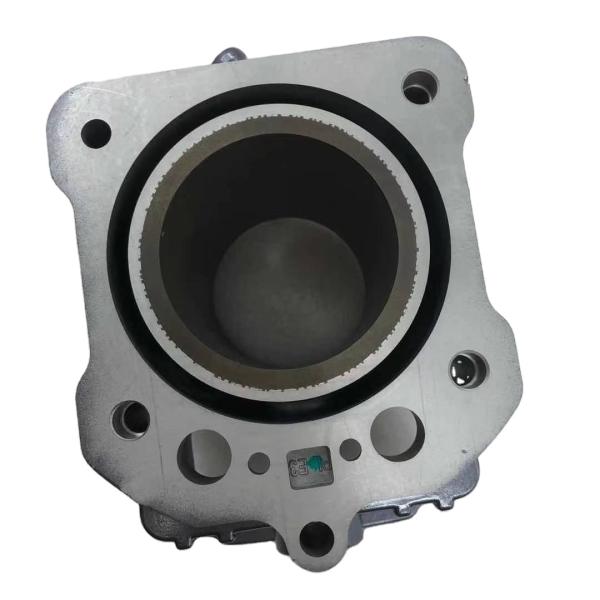 Pièces détachées pour moteur de moto, tête de cylindre complète pour moteur à essence DAYANG CG250