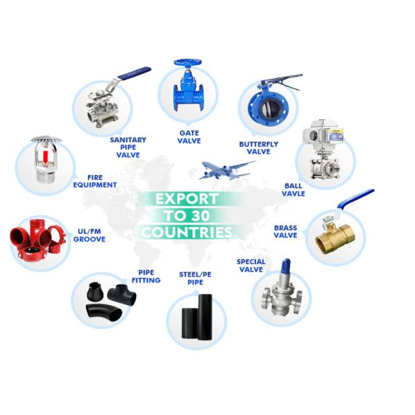 Утюг гаечной резьбы дуктильный приспосабливая твердое гибкое сцепление 300PSI