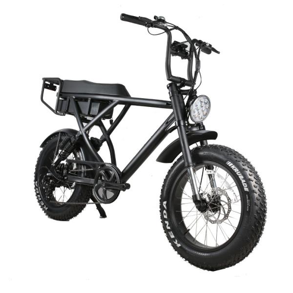 20 Inch Electric Bike 48v 500w 1000w Fat bike Alloy Frame with Suspension Fork Perfect