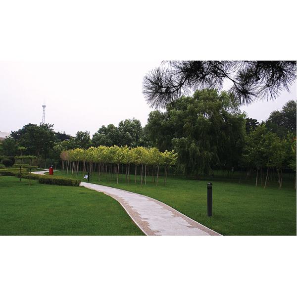 Black Driveway Bollard Lights / Pathway Lighting Bollards For Pedestrain Street