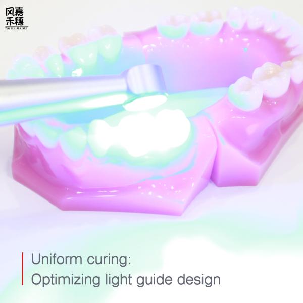 Dental Light Curing Unit Durable Easy-to-Clean Long Lifespan 10