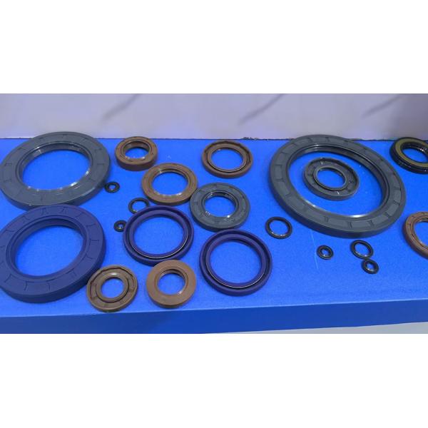 Double Lip FKM Oil Seal Mechanical O Ring Seal Hydraulic Pump Oil Sealing