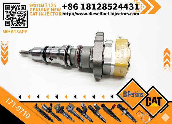 Caterpillar 3126 Engine Fuel Injector Generator Parts Accessories 116-7150 169-7410 0R-9350 171-9710 0R-9348 173-9272 178-0199