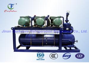 Unidade paralela 380V 3P 50Hz do compressor da refrigeração do parafuso de