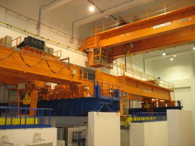 10 Ton 10m Low Headroom Hoist Remote Control For Manufacture, Yard