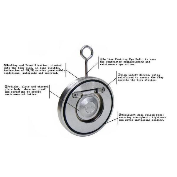 Задерживающего клапана плоское ПТФЭ вафли нержавеющей стали плиты СС 316 уплотнение одиночного