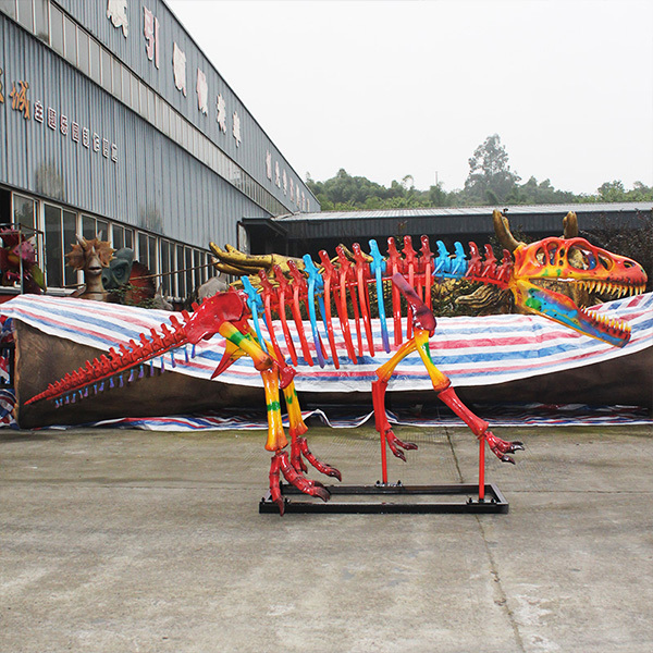 Museum Exhibition Education Dinosaur Skeleton Replica T Rex Skeleton Fossil