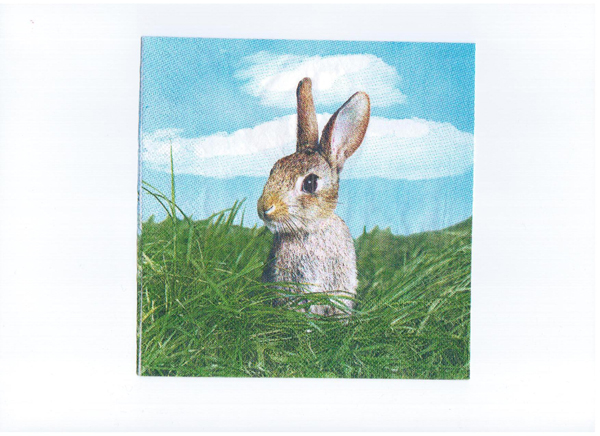 Элегантные 33x33cm 16gsm напечатали бумажную салфетку устранимую для свадьбы