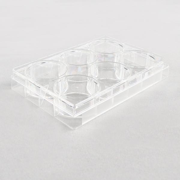 6 Well Cell Culture Plate Микробиология плиты культуры клетки ткани 6 гамма-облучения хорошая