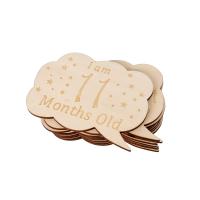 Cloud shaped Baby Monthly Milestone Cards  Wooden Printed Milestone Discs for  Baby  Newborn Gifts-customized design accept