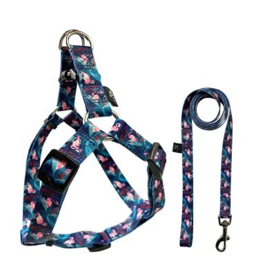 Le harnais d'avance de collier de style de flamant a placé l'ensemble d'avance de harnais de chien pour la marche de formation