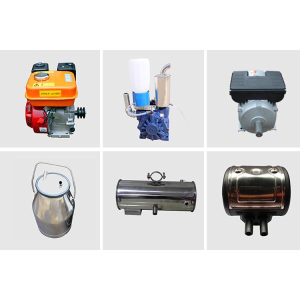 Mechanical 25Ltr Cow Milking Equipment Gasoline Engine Portable Milker Vacuum Pump