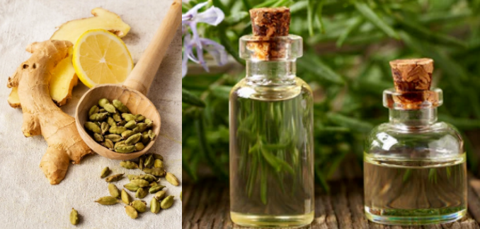 Perfume Fragrance  Wholesale Cardamom & Ginger(Jo Malone)Fragrance Essence  Oil  For Daily Using Perfume Making