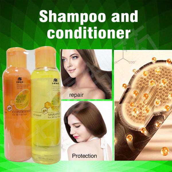 250ml Hair Care Ginseng Aloe Vera Shampoo And Conditioner Set