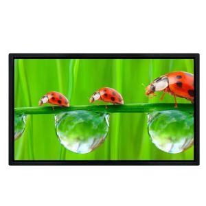 65 Inch Wall Mounted LCD Display 2K FHD Digital Signage with 250-500 cd/m² Brightness for Advertising