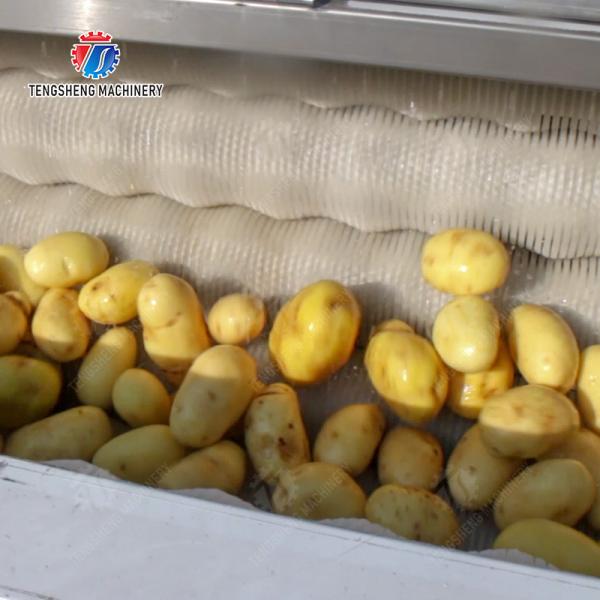 Brush washing and hoisting production line Ginger Potato Carrot Taro Sweet potato Yam processing production Machine