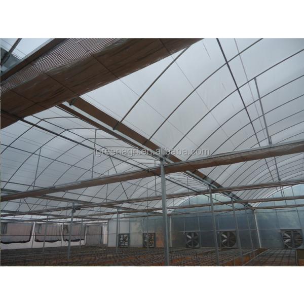 Small Column Reinforced Rod Wind Resistant Vent Window Rain Gutter Single PE Multi Span Film Greenhouse for Vegetable Flower