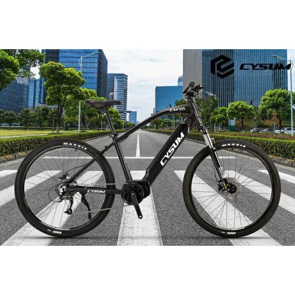 среднее людей велосипедов горы привода 250w Mtb Ebike электрических 29