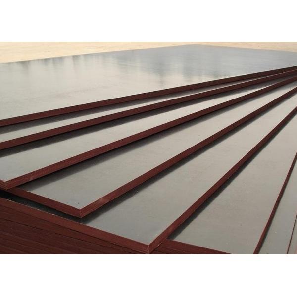 Film faced plywood