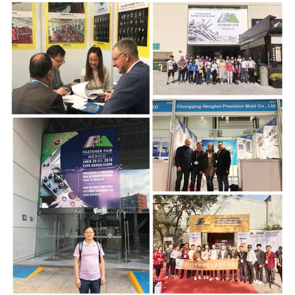 Плашка завальцовки потока обработки DC53 нитрида прямая проставляет размеры подгонянные материалы