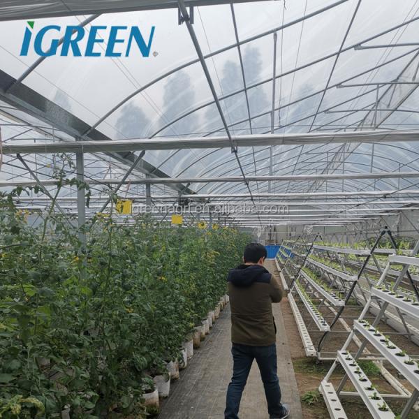 IGREEN I GAP Aquaponics Growing Systems-Complete System Hydroponics Compatible