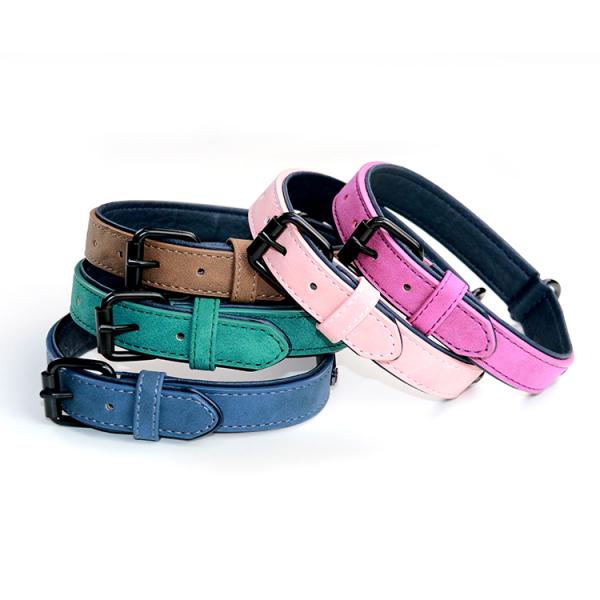 Multi Color Pet Collar Leash Handmade Cow Vegan