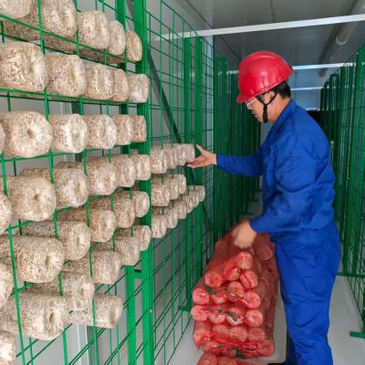Precisely Regulate Temperature Humidity Ventilation Lighting Mushroom Container