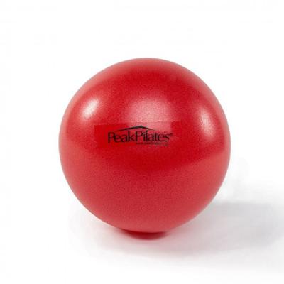 9 Inch Mini Soft Yoga Stability Ball Balance Exercise Bodyfit Fitness Ball
