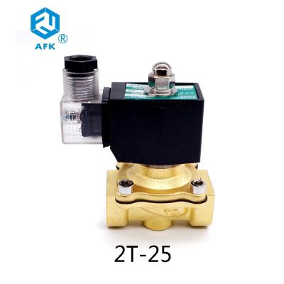 Válvula de solenoide elétrica de bronze 110v do gás do nitrogênio de 1 polegada 24v 12v