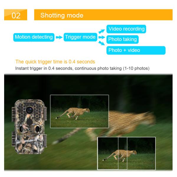 4k Ip65 Waterproof Night Vision Wildlife Camera 30fps Outdoor 60M 38PC IR LED