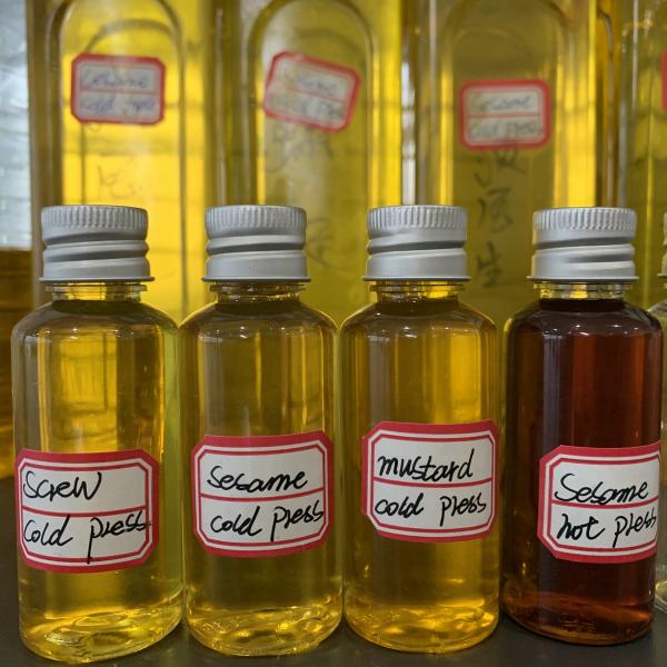 High Oil Output Industrial Oil Press Machine Mini Oil Extractor 60 MPa Pressure