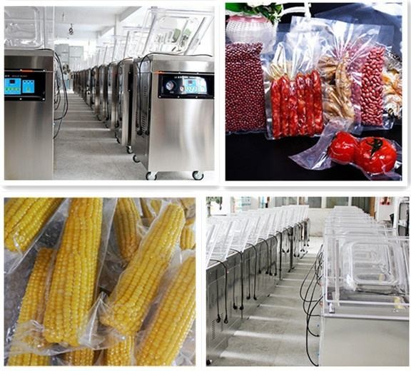 Mini ahorro de alimentos Bolsa de vacío sellador tipo accionado eléctricamente cámara única