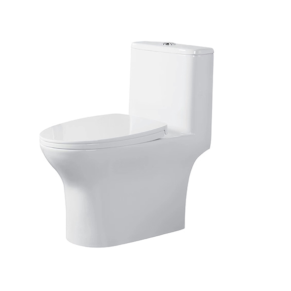 Ceramic One Piece Toilets Efficient Siphonic One Piece Closet 370x675x720mm For Bathroom