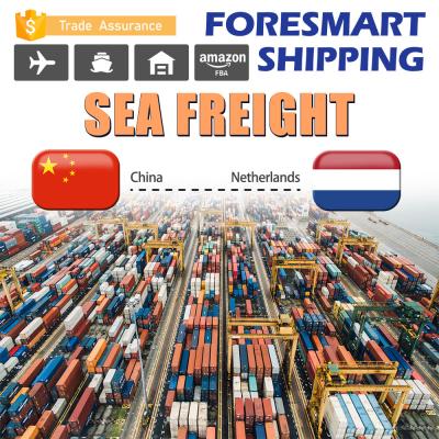 Shenzhen ao transporte do recipiente de frete do oceano de Países Baixos FCL