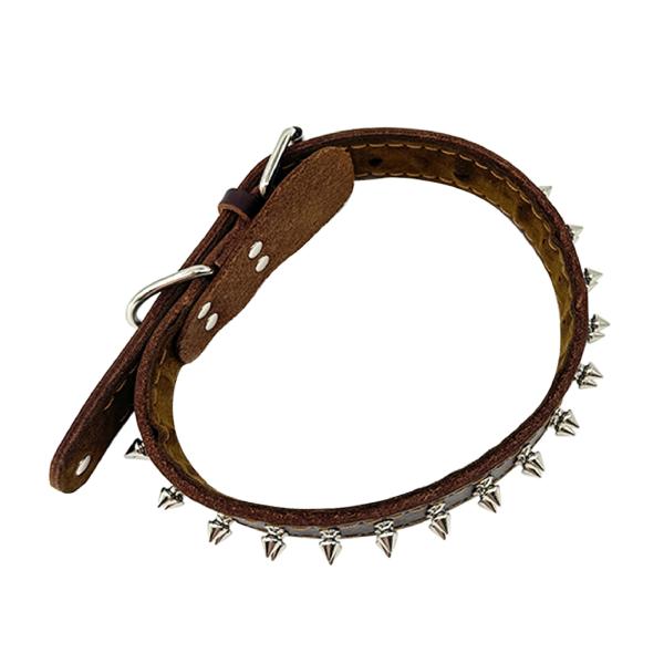 Collar para mascotas de cuero genuino con diseño tachonado – Elegante, duradero y cómodo