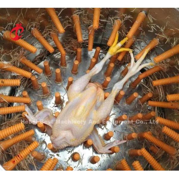 220v 380v Stainless Steel Chicken Plucker Broiler Processing Equipment Star