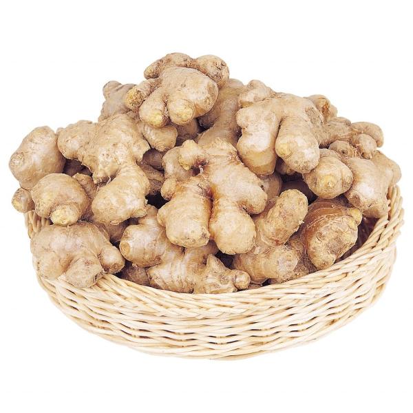 Large Ginger Fat Ginger Fresh in Cultivation Type COMMON 150G up Fresh Air Dry Ginger