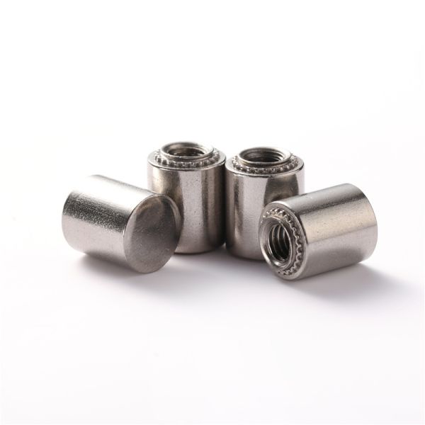 Stainless Steel Self Clinching Blind Fasteners Waterproof Riveting Nut BS Threaded